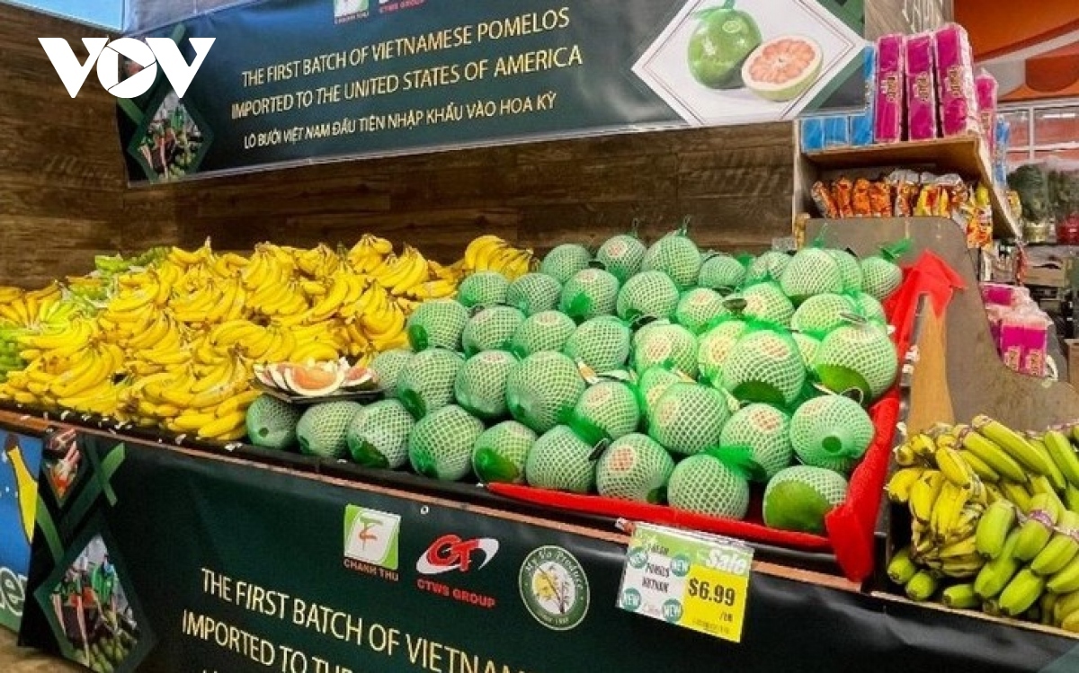 Fruit and vegetable exports near US$5 billion